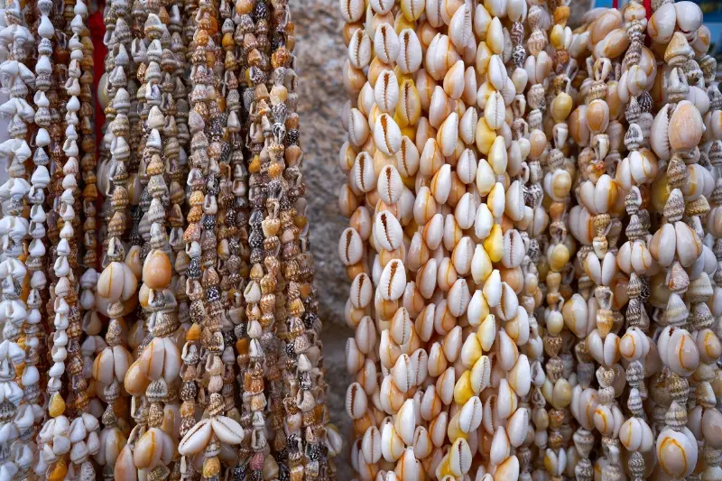 Como fazer artesanato com conchas do mar? Aprenda em 8 passos!