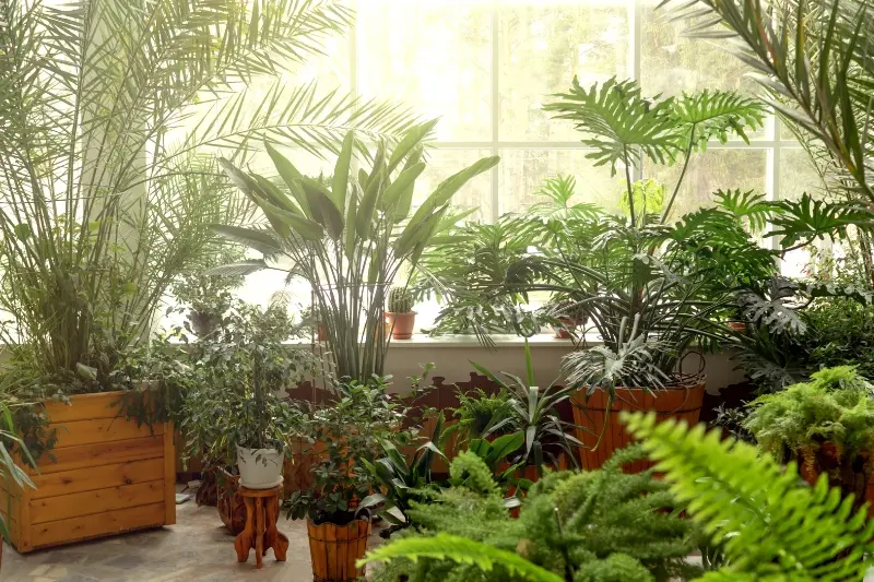Paisagismo interno: 10 dicas para transformar a sua casa!