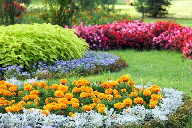 Paisagismo para jardim: 8 inspirações para transformar seu pátio!